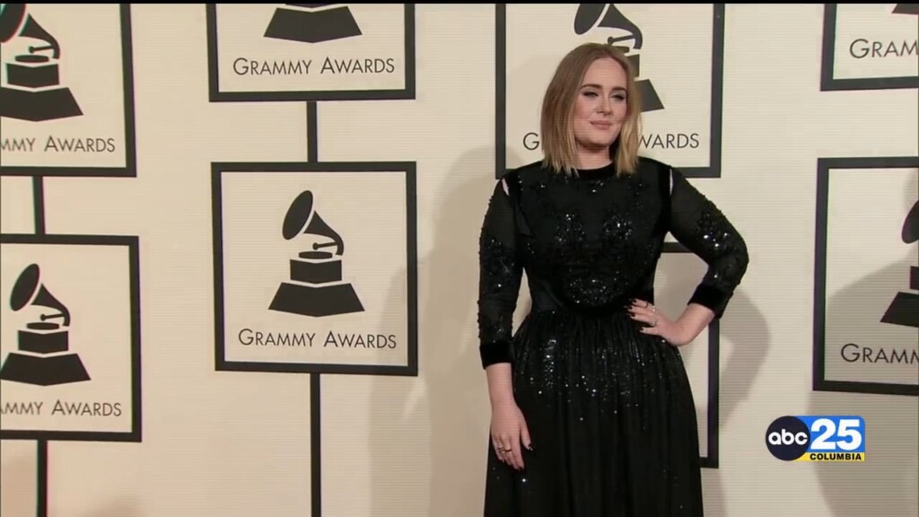 Adele Wants You To Stop Throwing Things At Concerts