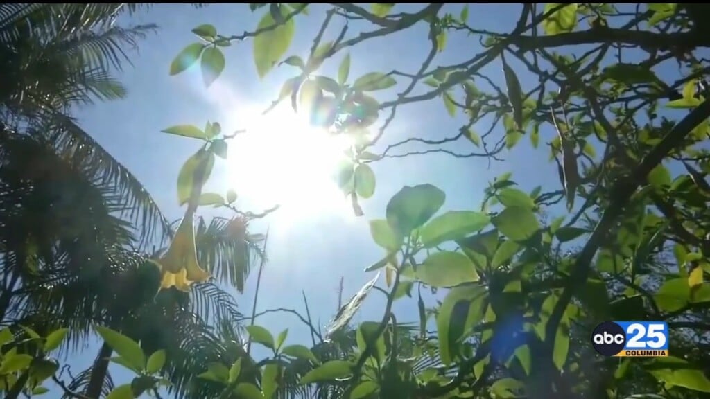 Health In The Heat