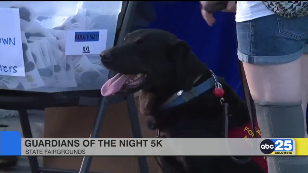 Guardians K9 5k