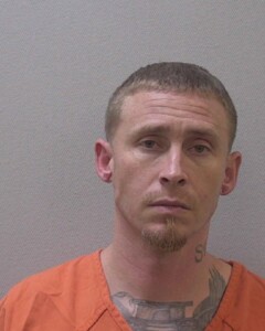 Serrano Joshua Lino Shane