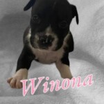 Miss Winona