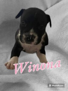 Miss Winona