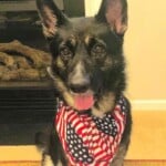 Maya