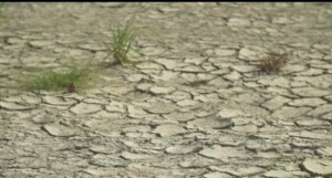Hottest Days On Record