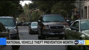 National Vehicle Theft Prevention Month
