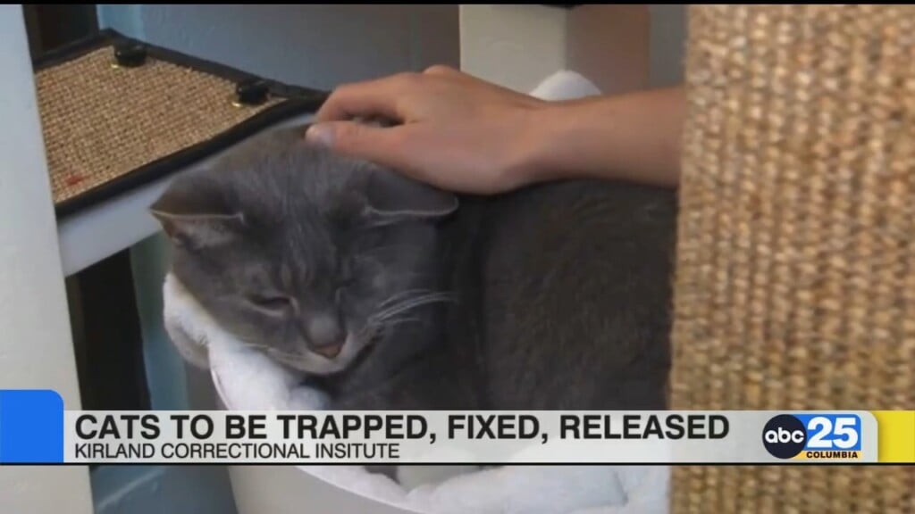 Inmates Feral Cats