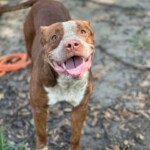 Winifred