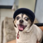 Ernie