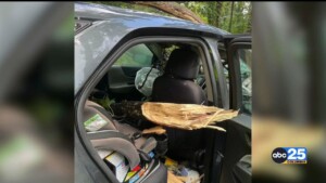 Storm Damage Tuesday