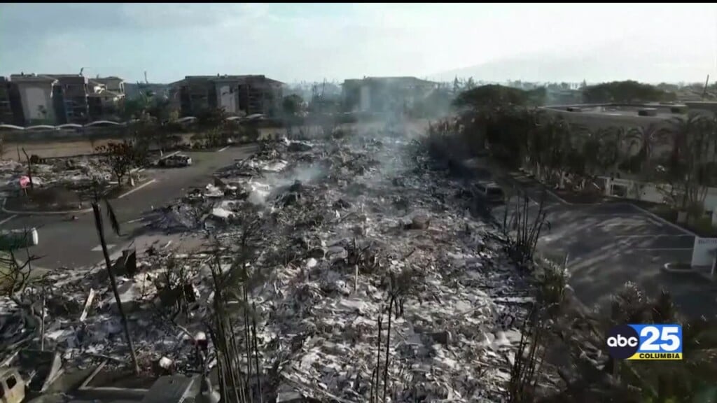 Maui Wildfires