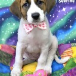 Sabrina