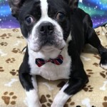 Buster
