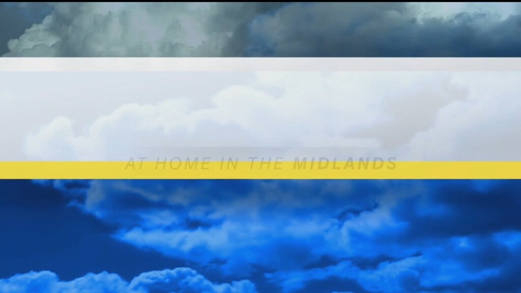 Forecast