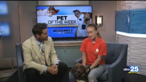 Pet Of The Week