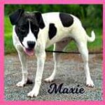 Maxie