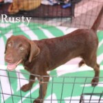 Rusty