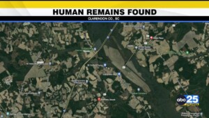 Human Remains