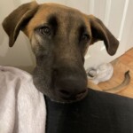 Deuce