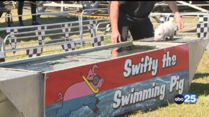 Pig Races Pkg