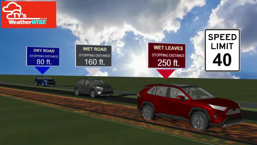 Ty's Weather Wise: The Danger Of Leaves