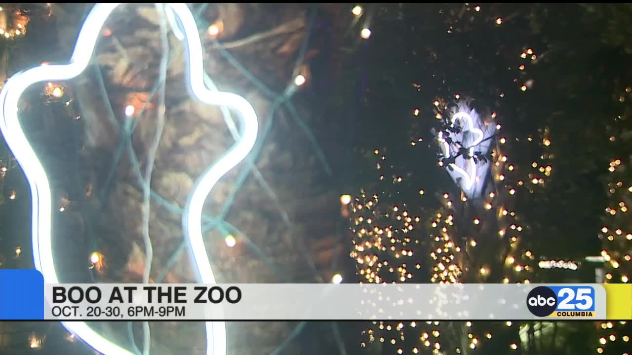 Local Living Boo at the Zoo ABC Columbia