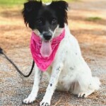 Mitzi
