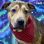 Zack