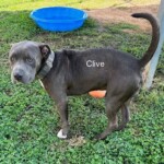 Clive