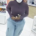 Alleged Lexington Shoplifters 2