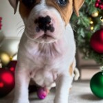 Greta