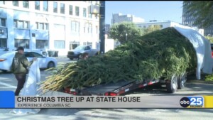Chrismas Tree Up At State House