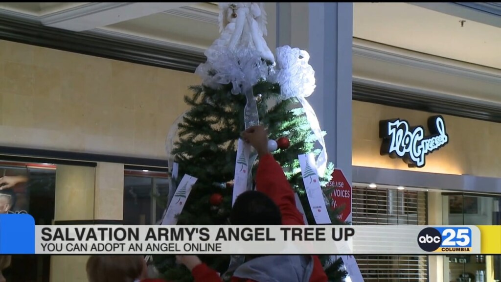 Salvation Army Angel Tree Of The Midlands - ABC Columbia