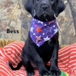 Bess