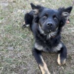 Esther