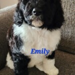 Emily