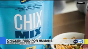 Chicken Feed For Humans