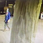 Suspect stealing fuel Neeses Camp Road