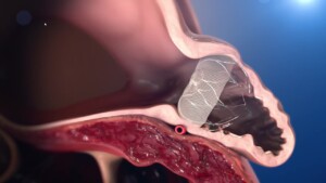 Midlands Cares: The Watchman