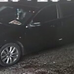 Lexington County Incident