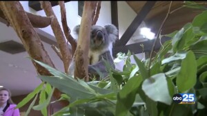 Bonds Approved In Richland, Lexington Counties For Riverbanks Zoo And Garden