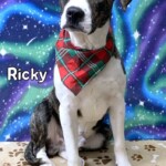 Rickey