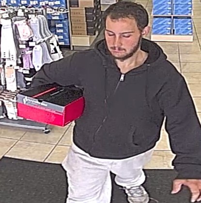 Lpd Searching For 1