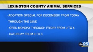 Lexington County Animal Services Hosting Pet Adoption Special For December
