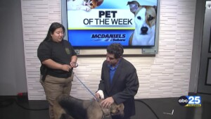Pet Of The Week