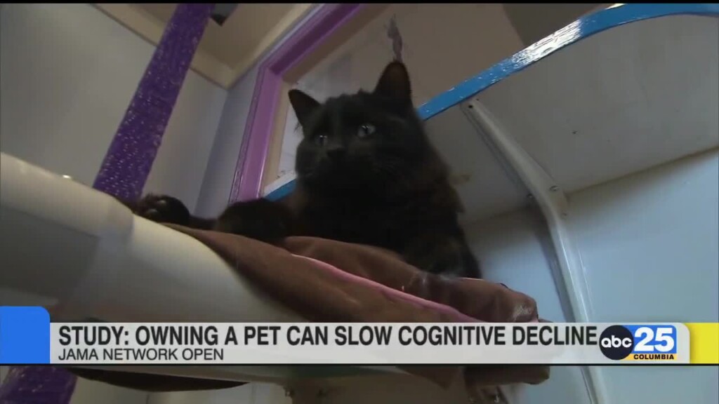 Study: Adding Pet May Offset Cognitive Decline For Some