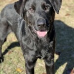 Remington