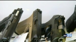 Sc Gets D For Gun Safety Laws