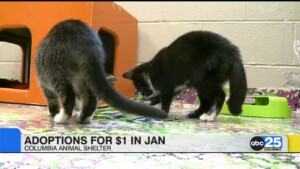 Columbia Animal Shelter Holding Adoptions For $1