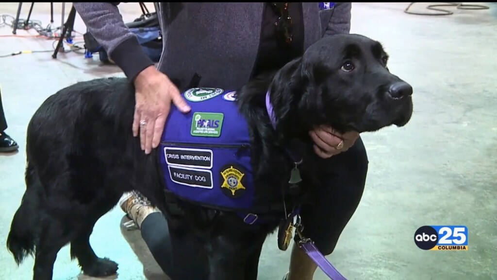 K9 Pkg