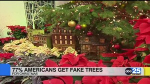 77% Americans Get Fake Trees